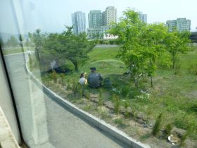P1010070.JPG